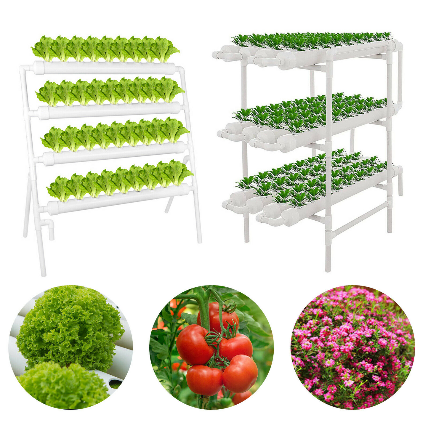 Hydroponic Grow Kit Planting Sites - Soilless Garden System for Vegetables & Herbs, PVC Design with Pump & Timer, Easy Setup for Beginners