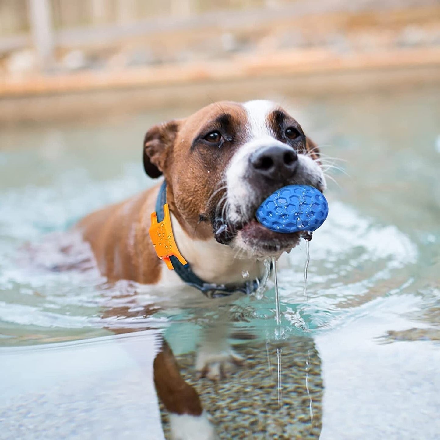 Interactive Dog Ball Toy Indestructible Tough Durable Stick for Large Medium Dog